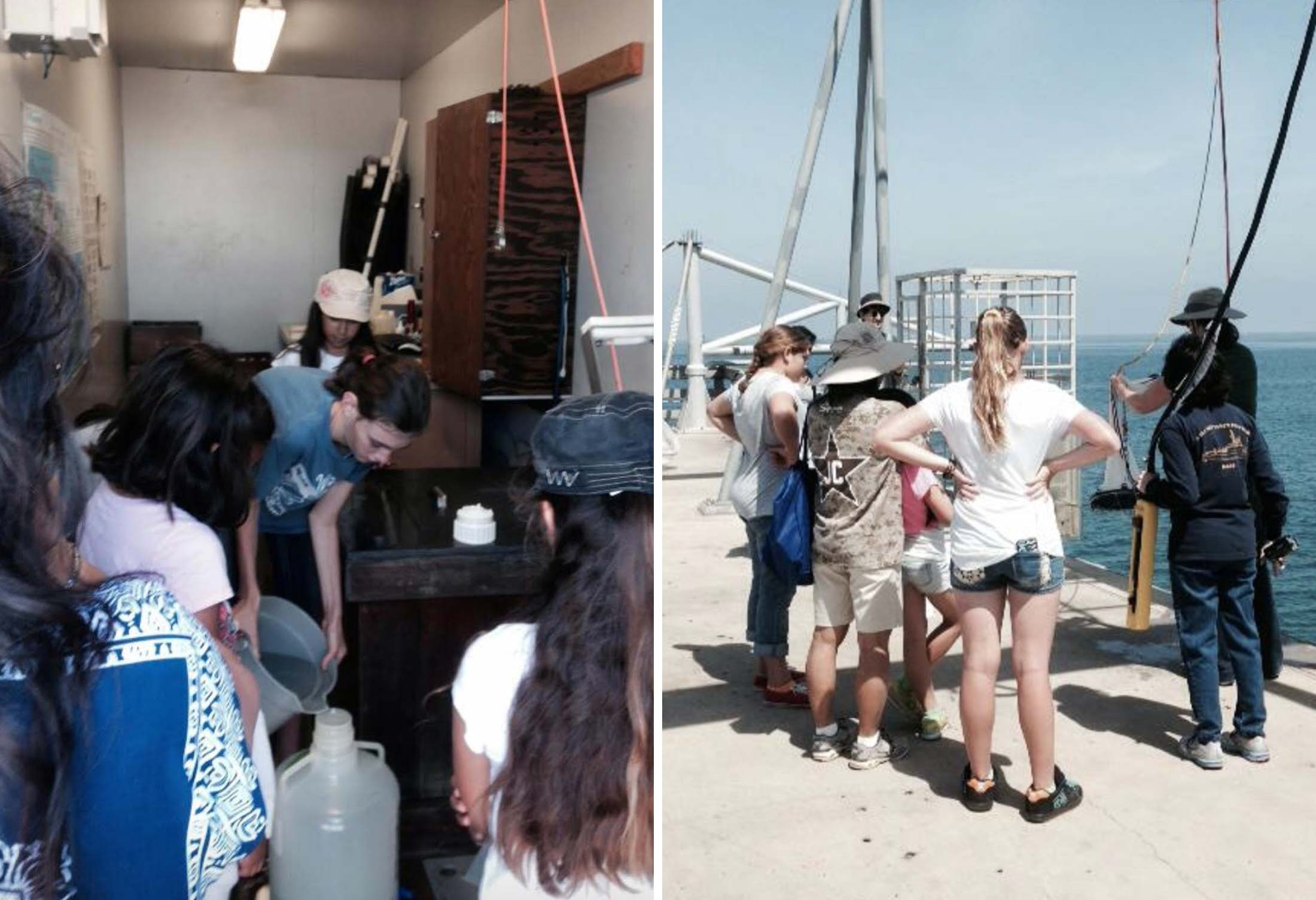 Ocean Sampling Day 2014 with local Girl Scout groups.