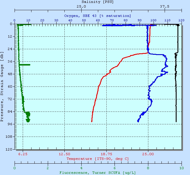 Typical CTD Profile from The Aegean Sea