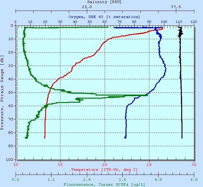 CTD Profile From Last Spanish Sample