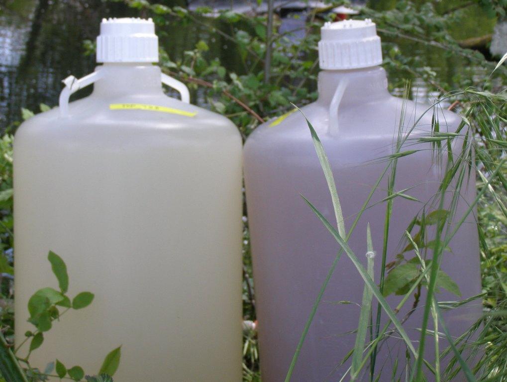 Water on left is from above anoxic zone, while water on right is from the anoxic zone