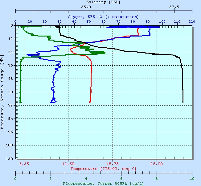 CTD profile of the Sea of Marmara, notice the salinity change