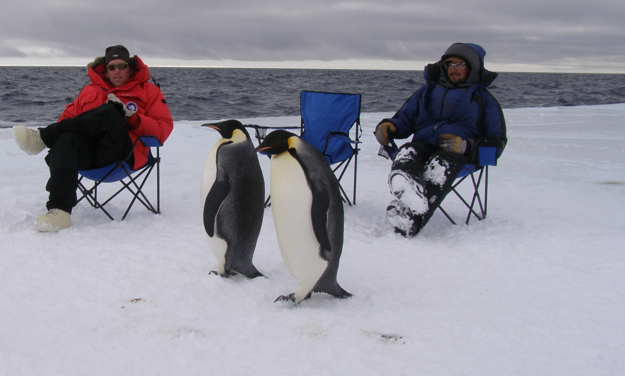 Beach chair moment: Jeff and Brian wait for our filters while penguins waddle and survey our work